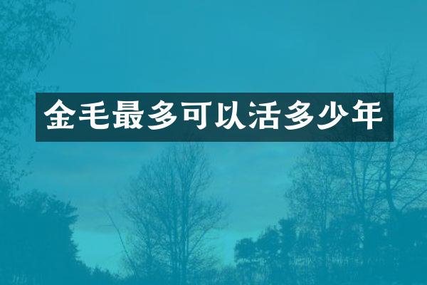 金毛最多可以活多少年