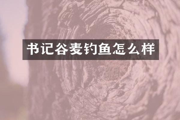 书记谷麦钓鱼怎么样