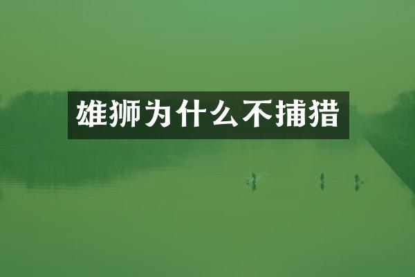 雄狮为什么不捕猎