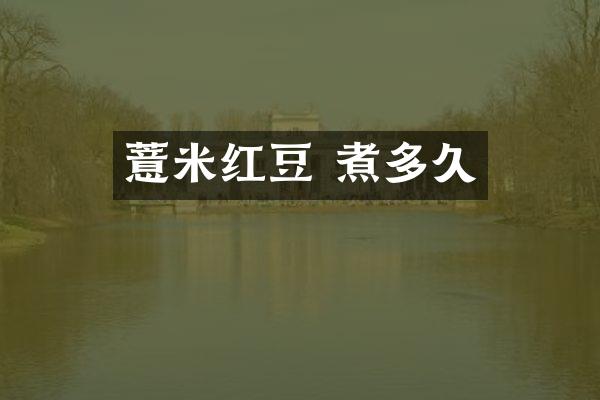 薏米红豆 煮多久