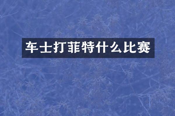 车士打菲特什么比赛