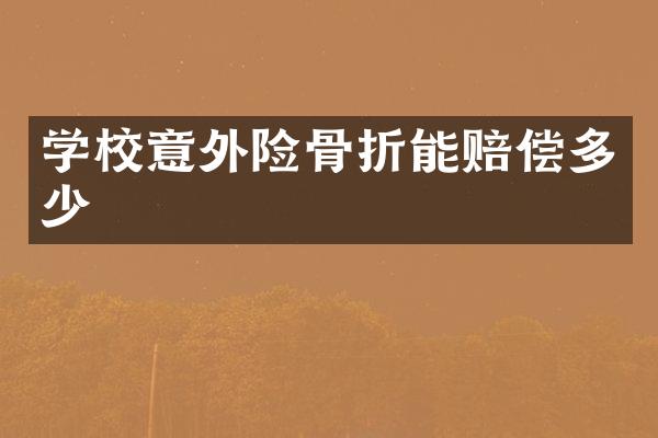 学校意外险骨折能赔偿多少