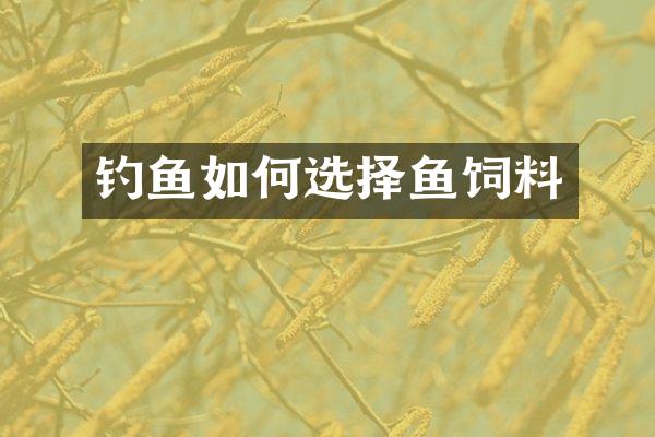 钓鱼如何选择鱼饲料