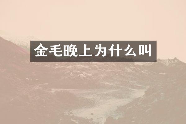 金毛晚上为什么叫