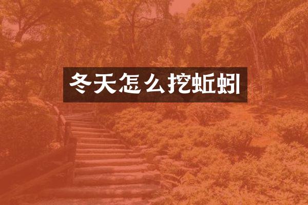 冬天怎么挖蚯蚓