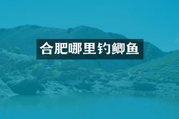 合肥哪里钓鲫鱼