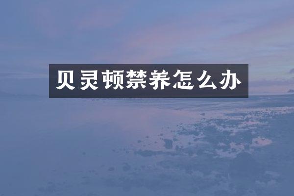 贝灵顿禁养怎么办