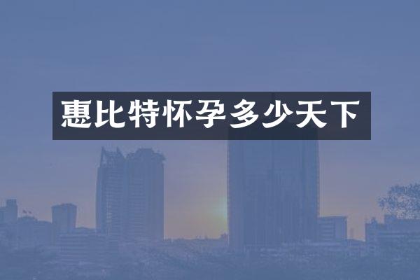 惠比特怀孕多少天下