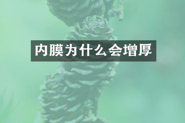 内膜为什么会增厚