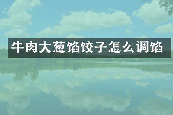 牛肉大葱馅饺子怎么调馅