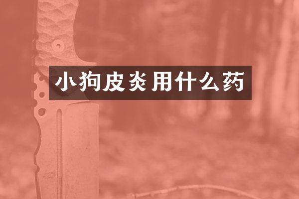 小狗皮炎用什么药