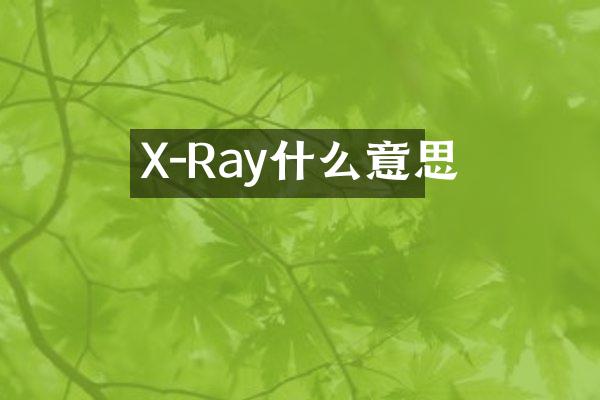 X-Ray什么意思