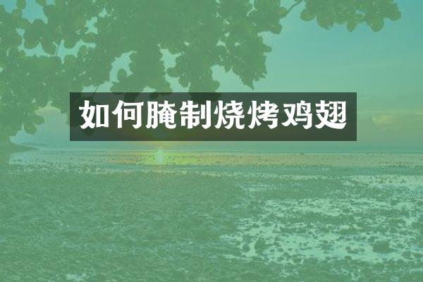 如何腌制烧烤鸡翅