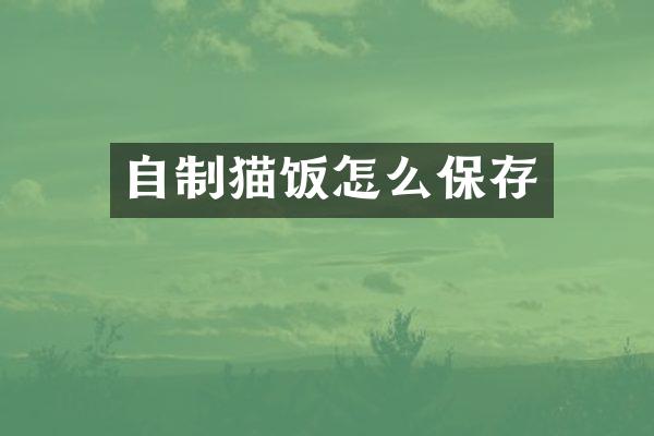 自制猫饭怎么保存