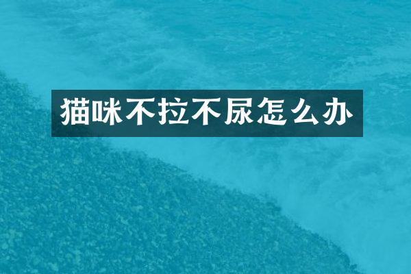 猫咪不拉不尿怎么办