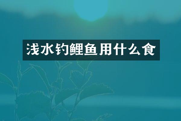 浅水钓鲤鱼用什么食