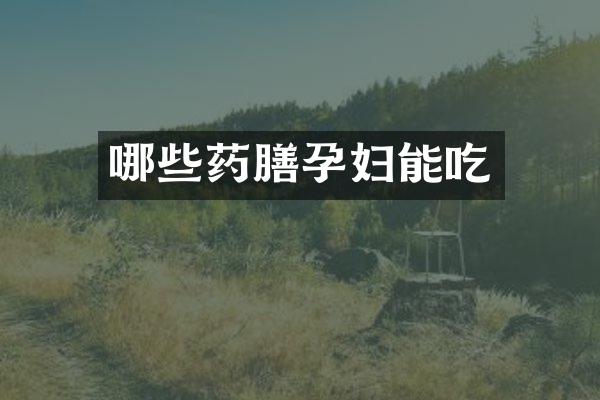 哪些药膳孕妇能吃