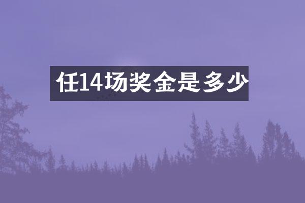 任14场奖金是多少