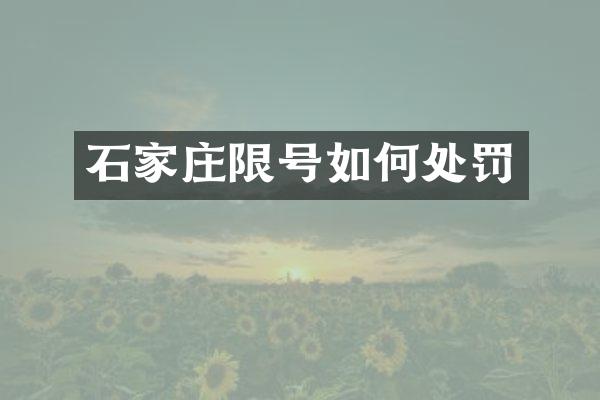 石家庄限号如何处罚
