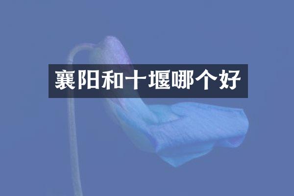 襄阳和十堰哪个好