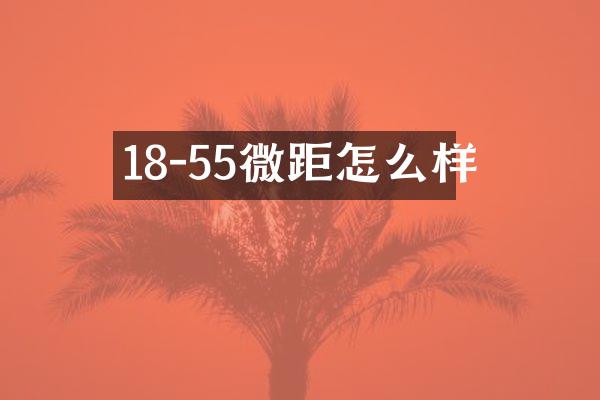18-55微距怎么样