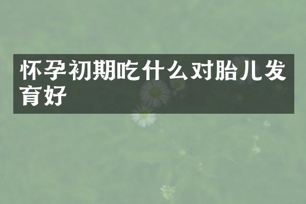 怀孕初期吃什么对胎儿发育好