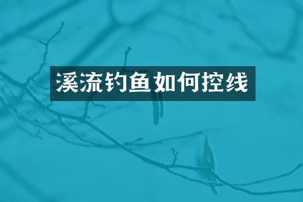 溪流钓鱼如何控线