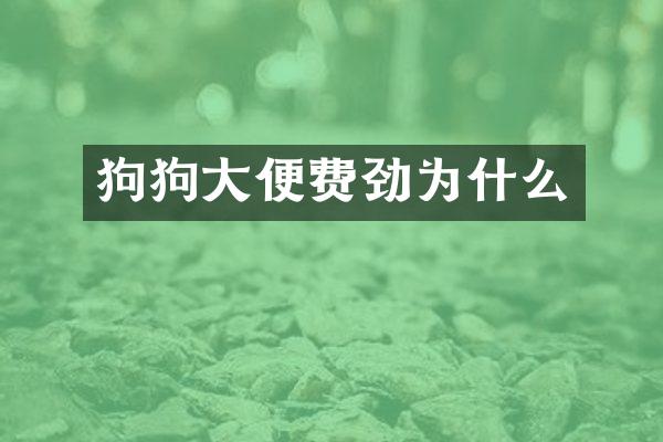 狗狗大便费劲为什么