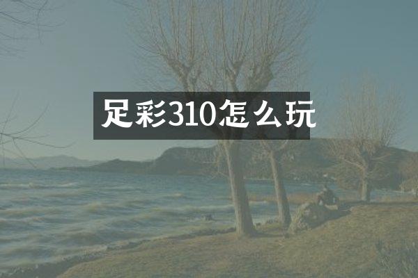 足彩310怎么玩