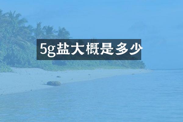 5g盐大概是多少