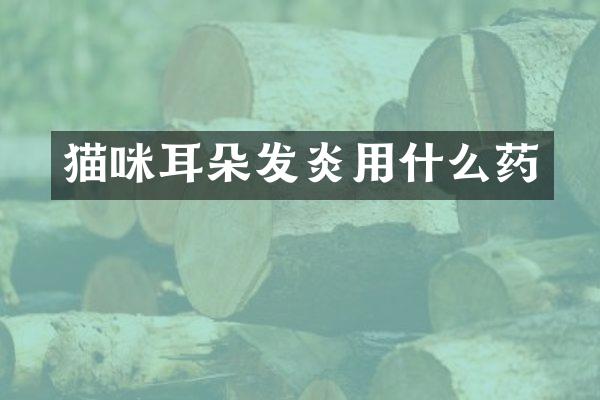 猫咪耳朵发炎用什么药