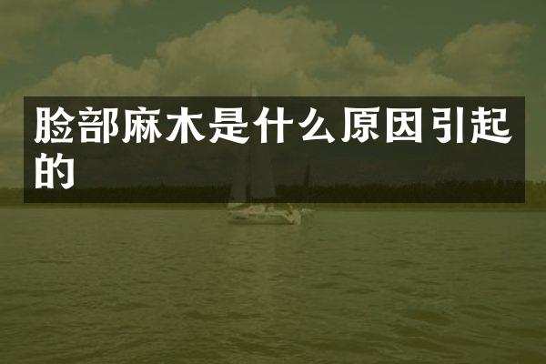 脸部麻木是什么原因引起的