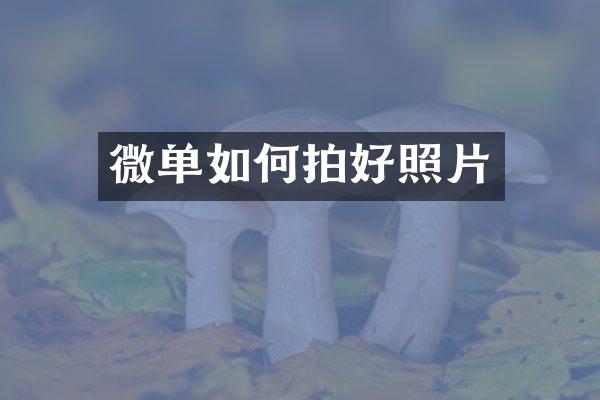 微单如何拍好照片