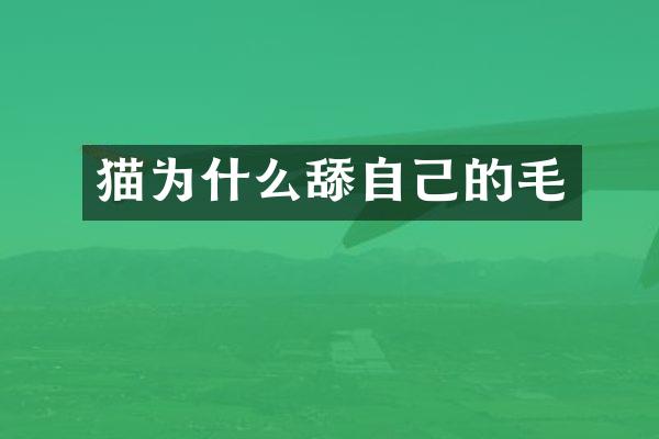 猫为什么舔自己的毛