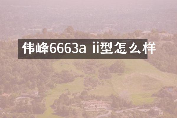 伟峰6663a ii型怎么样