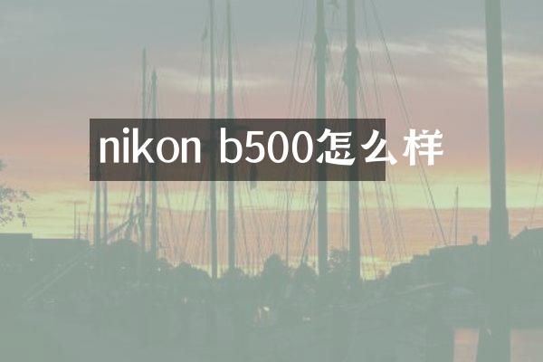 nikon b500怎么样