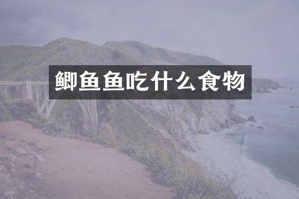 鲫鱼鱼吃什么食物
