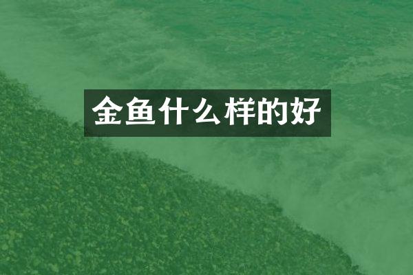 金鱼什么样的好