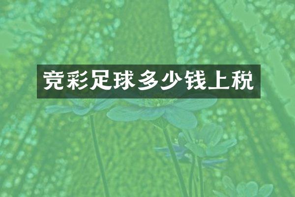 竞彩足球多少钱上税