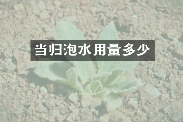 当归泡水用量多少