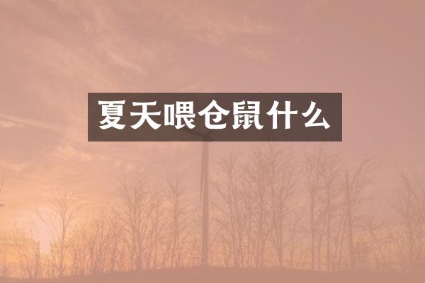 夏天喂仓鼠什么