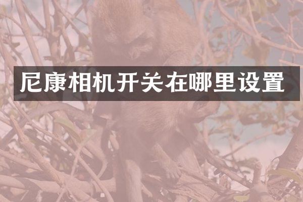 尼康相机开关在哪里设置