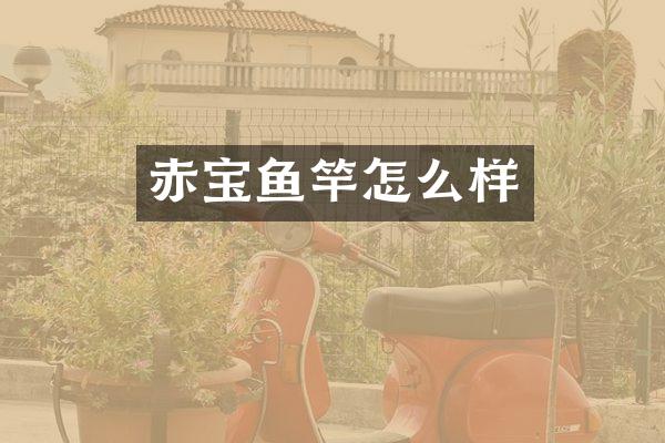 赤宝鱼竿怎么样