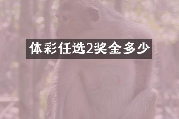 体彩任选2奖金多少