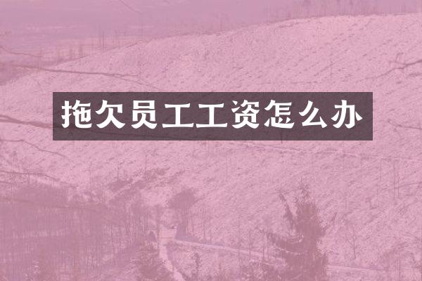 拖欠员工工资怎么办