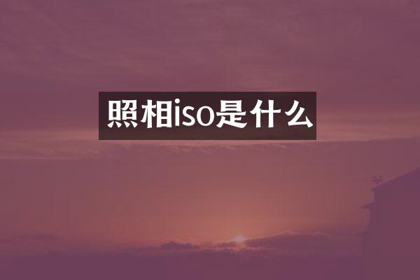 照相iso是什么