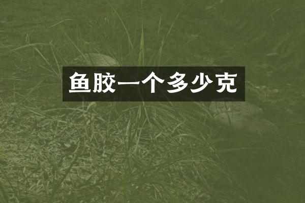 鱼胶一个多少克
