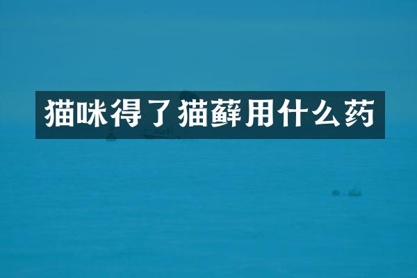 猫咪得了猫藓用什么药