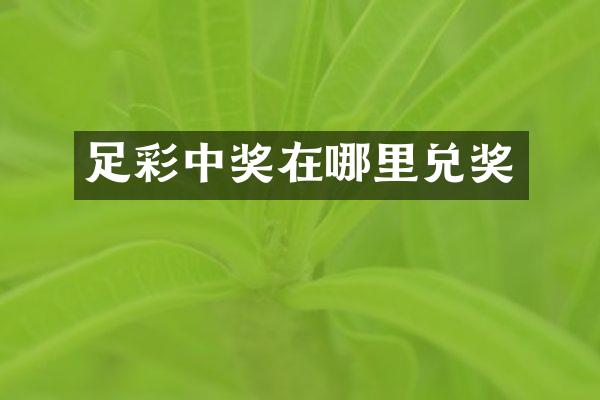 足彩中奖在哪里兑奖