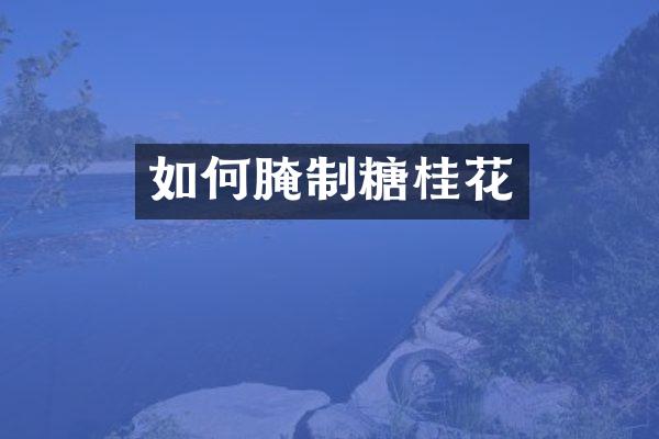 如何腌制糖桂花